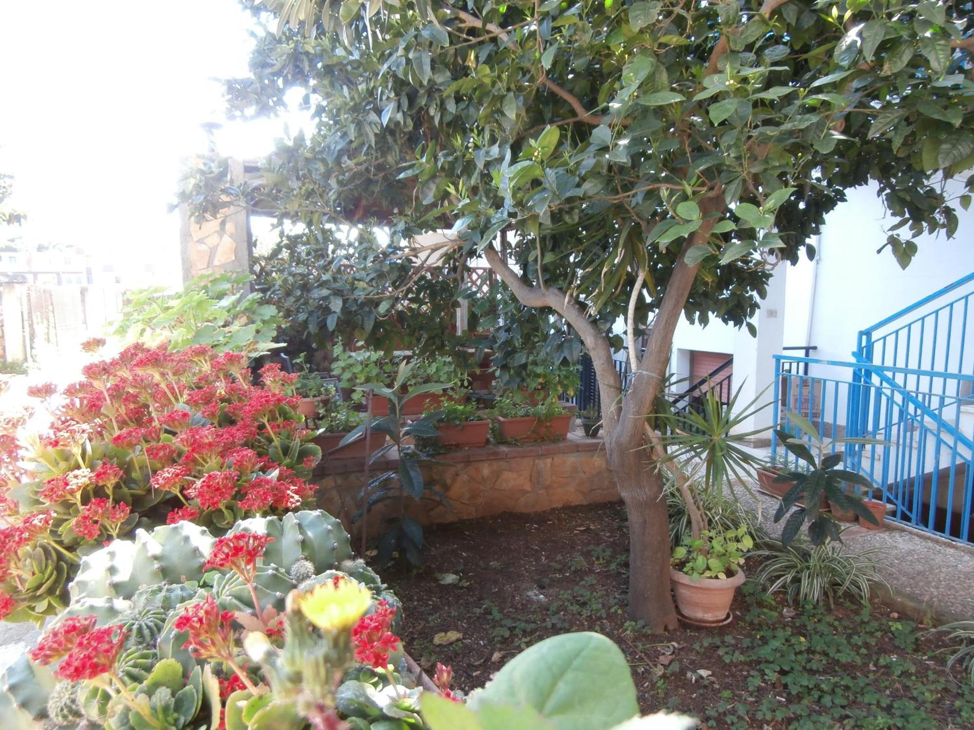 Busalacchi B&B Mondello Zewnętrze zdjęcie
